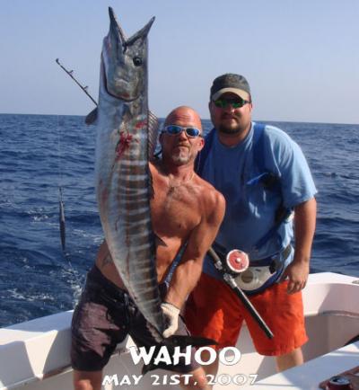 Big Wahoo